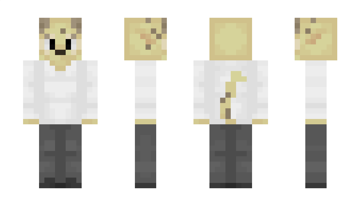 kptw9 Minecraft Skin