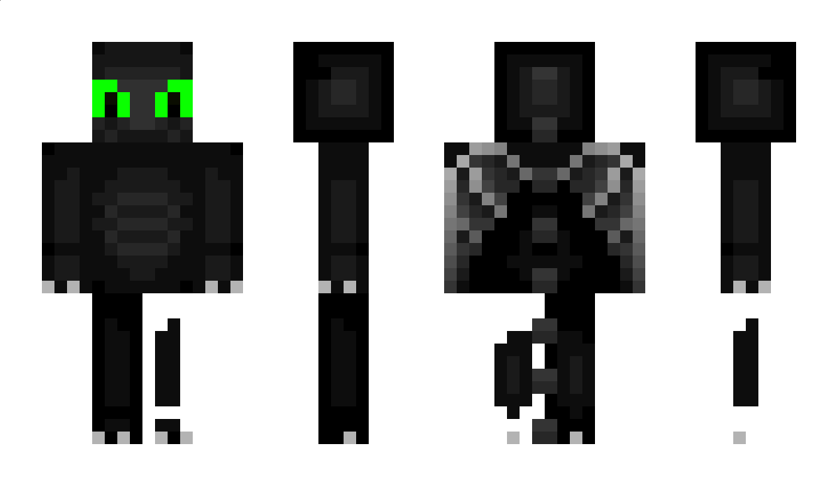 DragonCat_ Minecraft Skin