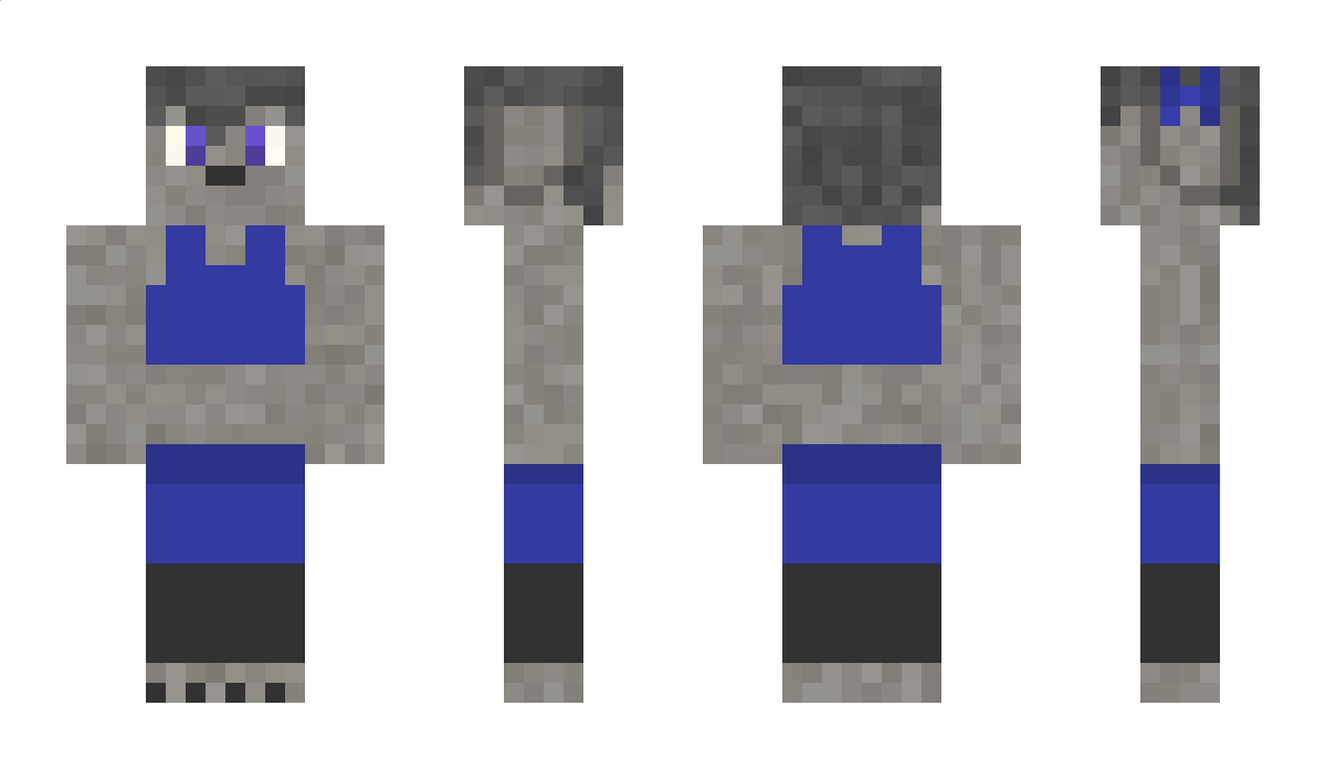 SSandBlueberry Minecraft Skin