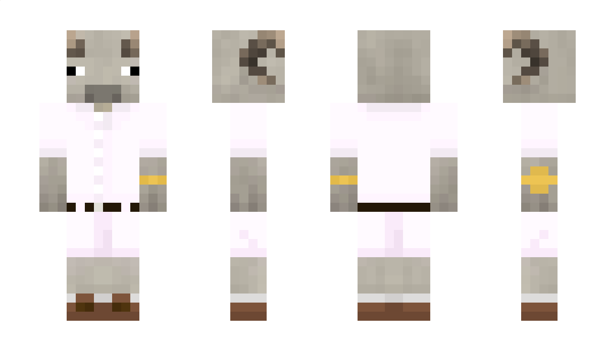 Fensti Minecraft Skin