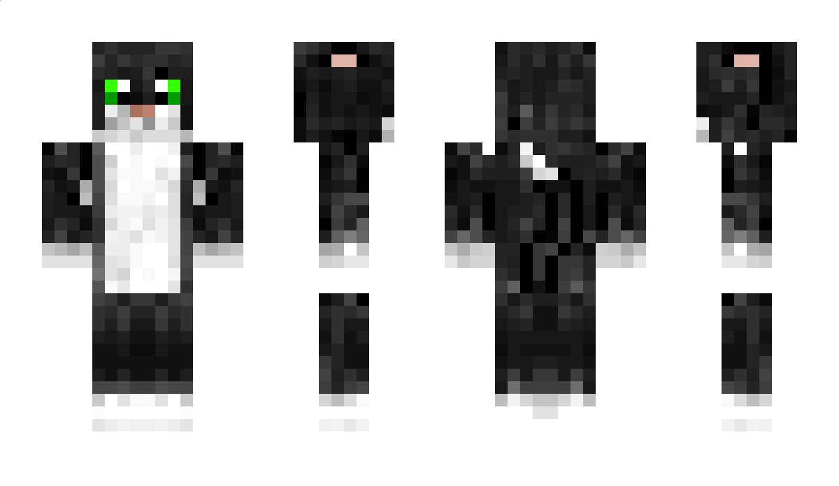 Pwnda Minecraft Skin