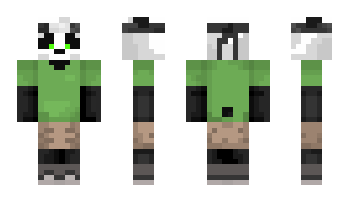 ttvTurtGaming Minecraft Skin