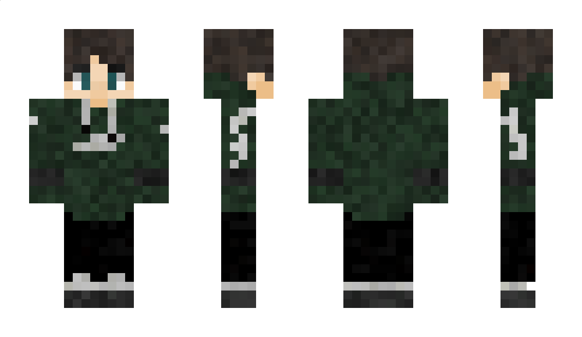 DavidJash Minecraft Skin