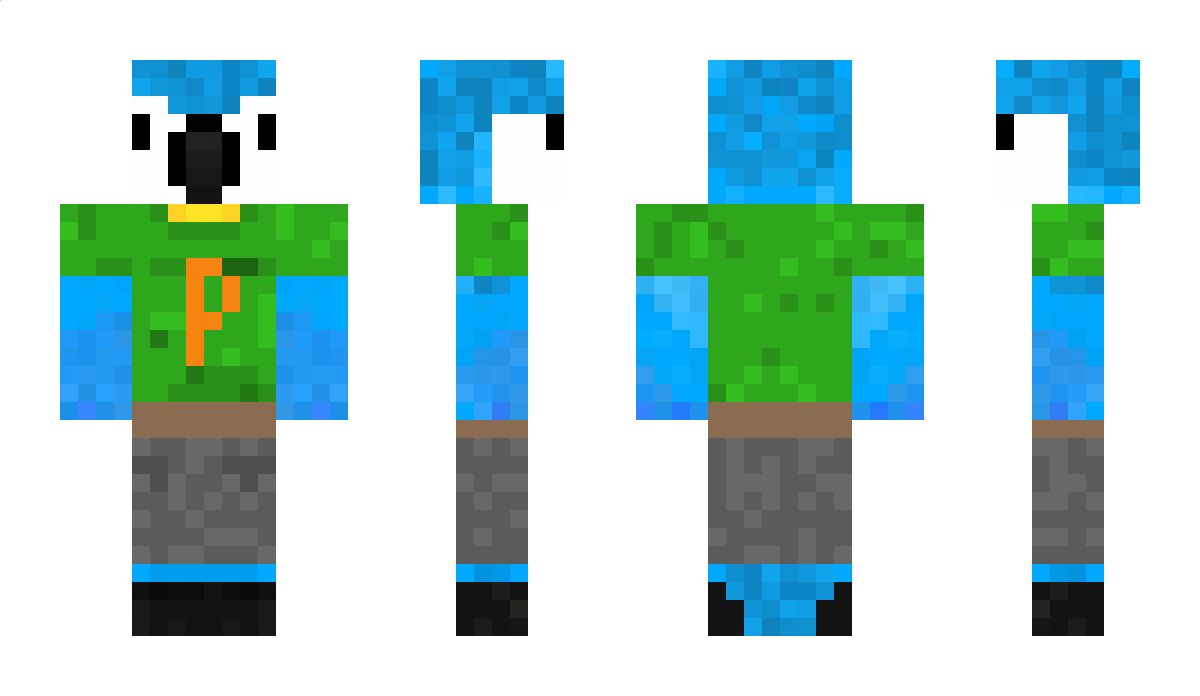 BuildingParrot64 Minecraft Skin