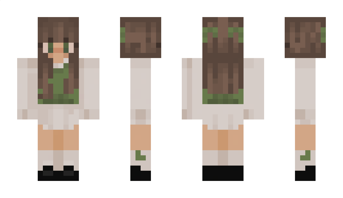 LittleGearHead Minecraft Skin