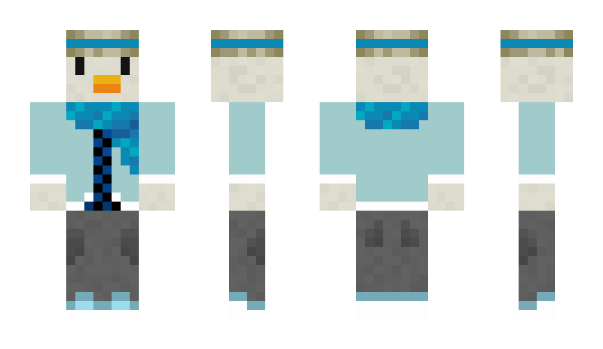 DuckGaming Minecraft Skin