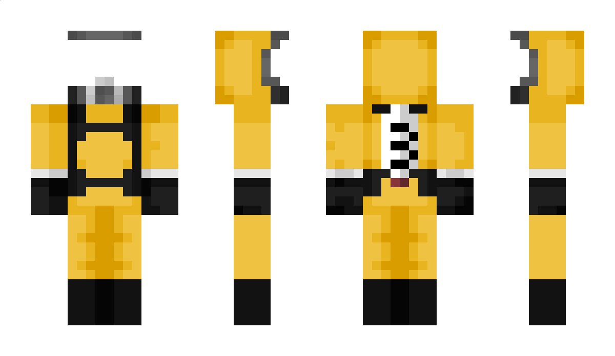 Schlage Minecraft Skin