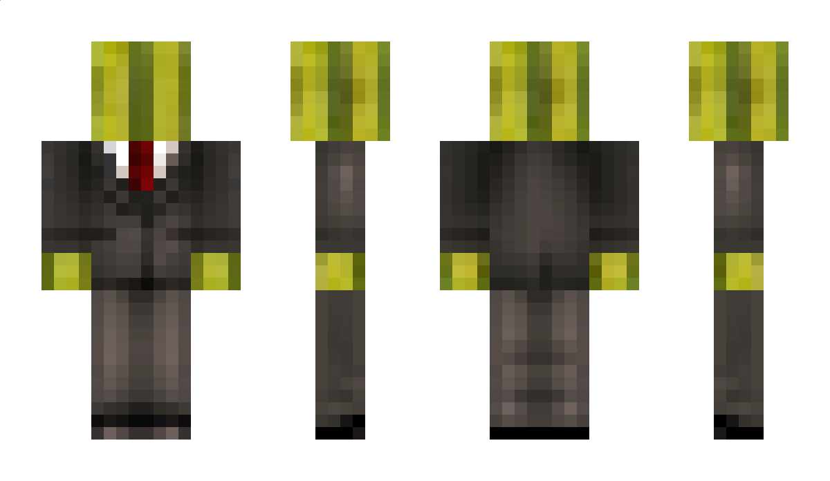 Villen Minecraft Skin