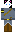 sir_cat1 Minecraft Skin