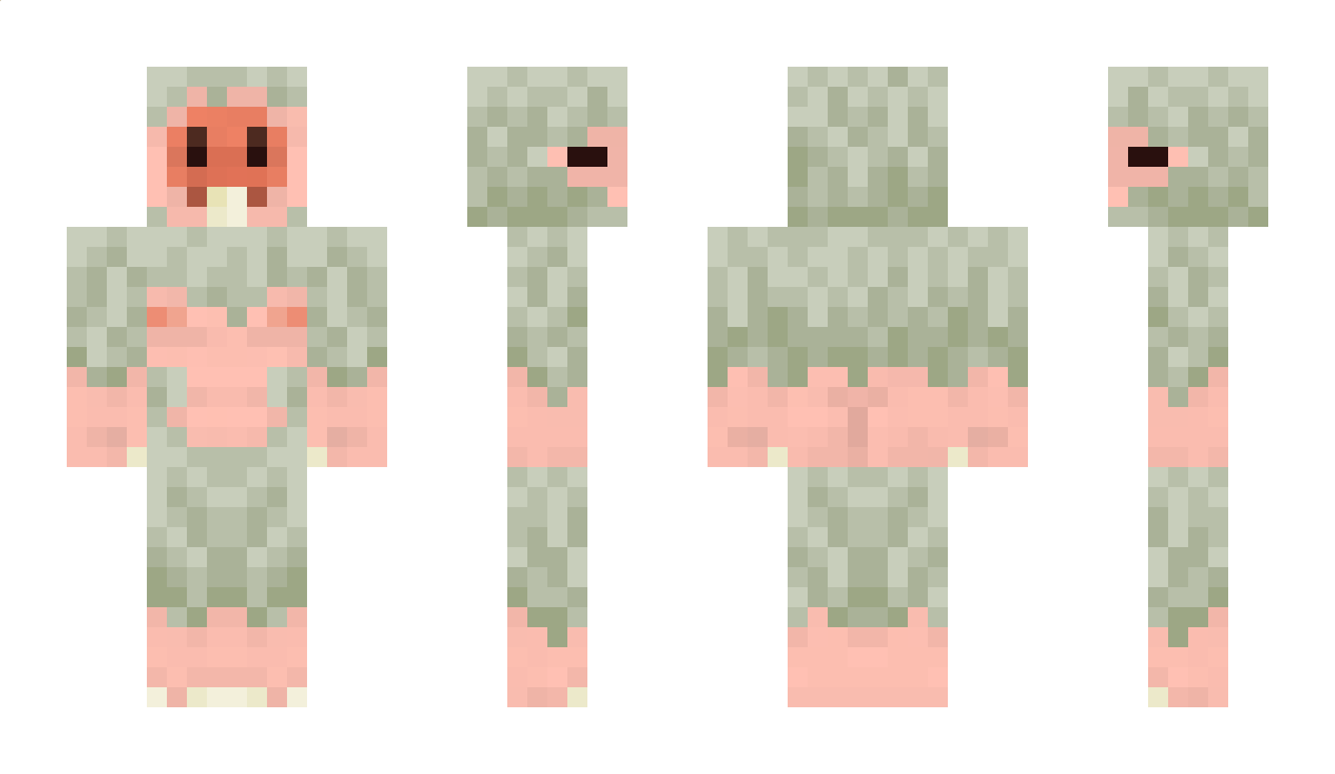 Grumlen Minecraft Skin