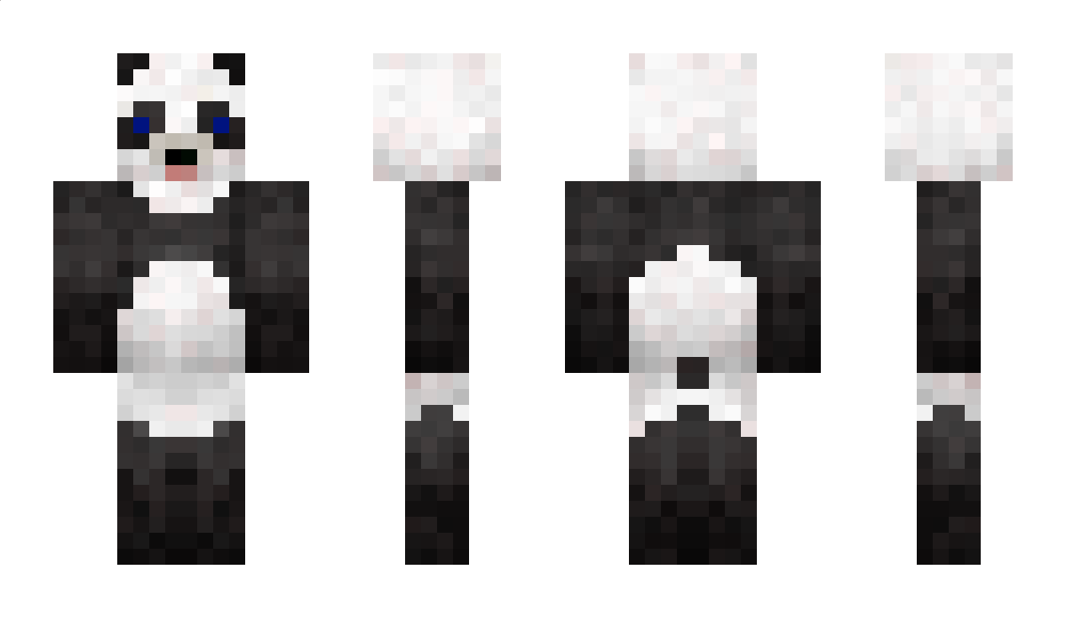 Fastyy Minecraft Skin