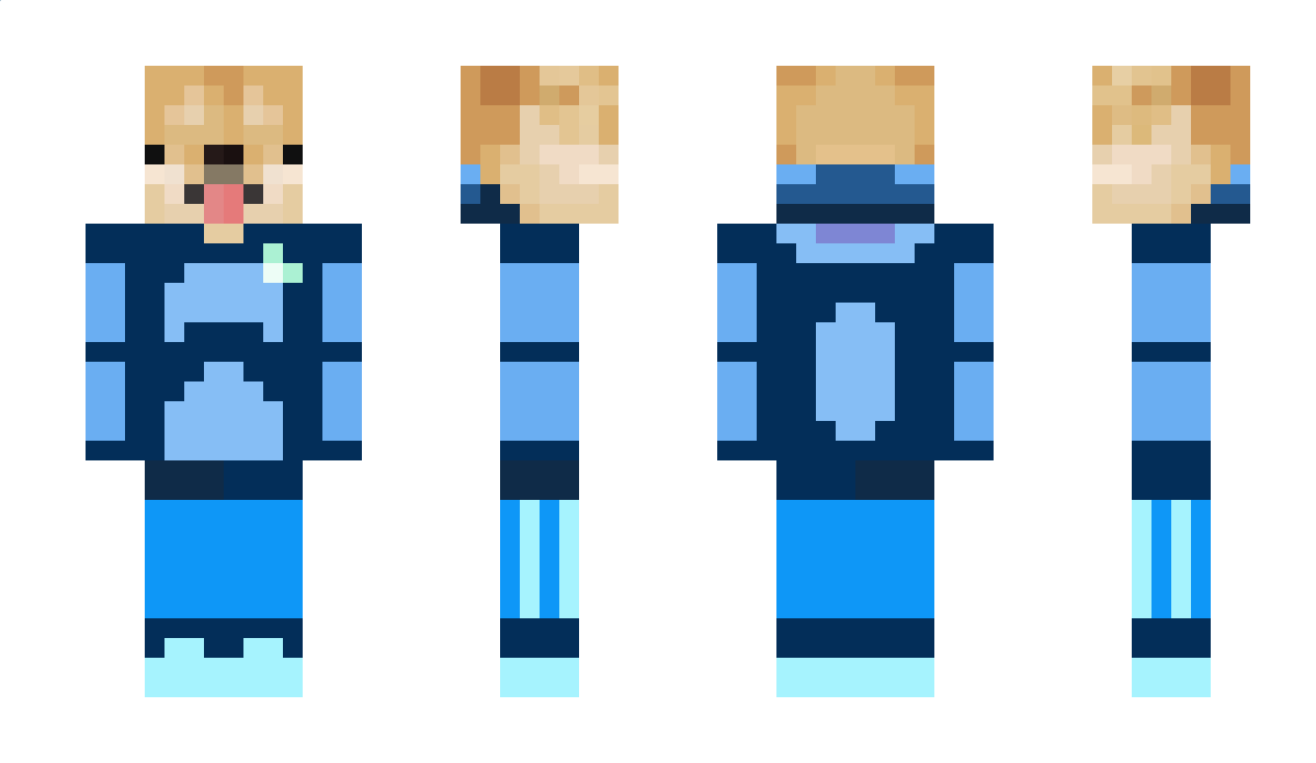 Doge_caspers Minecraft Skin
