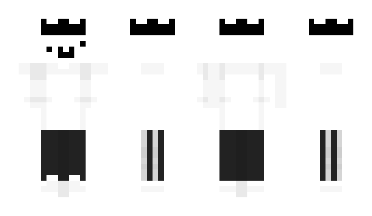 HAYMIR Minecraft Skin