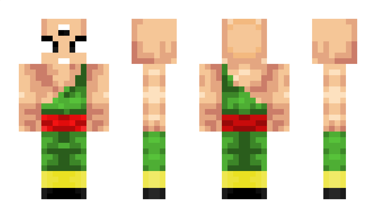 Tenshinhan69 Minecraft Skin