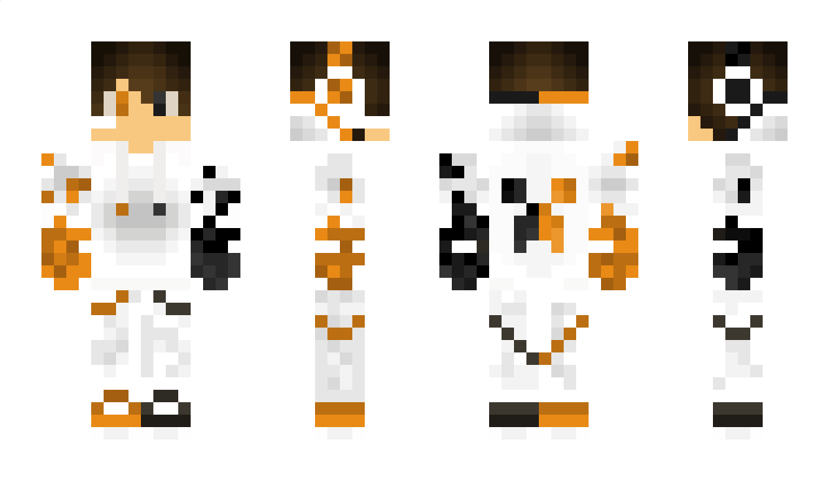 Teddis40440 Minecraft Skin