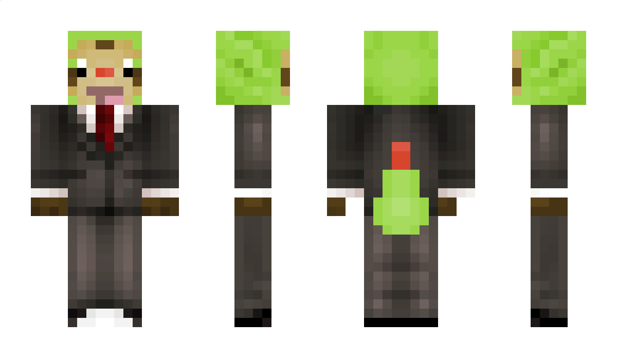 Chespin1234 Minecraft Skin