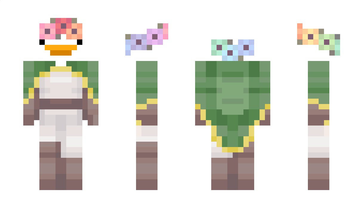 Hazy_Toucan Minecraft Skin