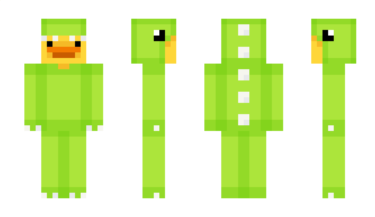 DuckavisYT Minecraft Skin