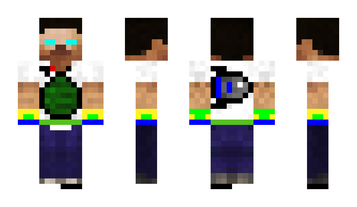 Aarvark Minecraft Skin