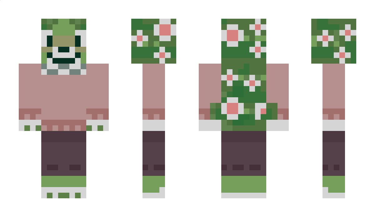 coolknickknack Minecraft Skin