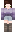 riaxe Minecraft Skin