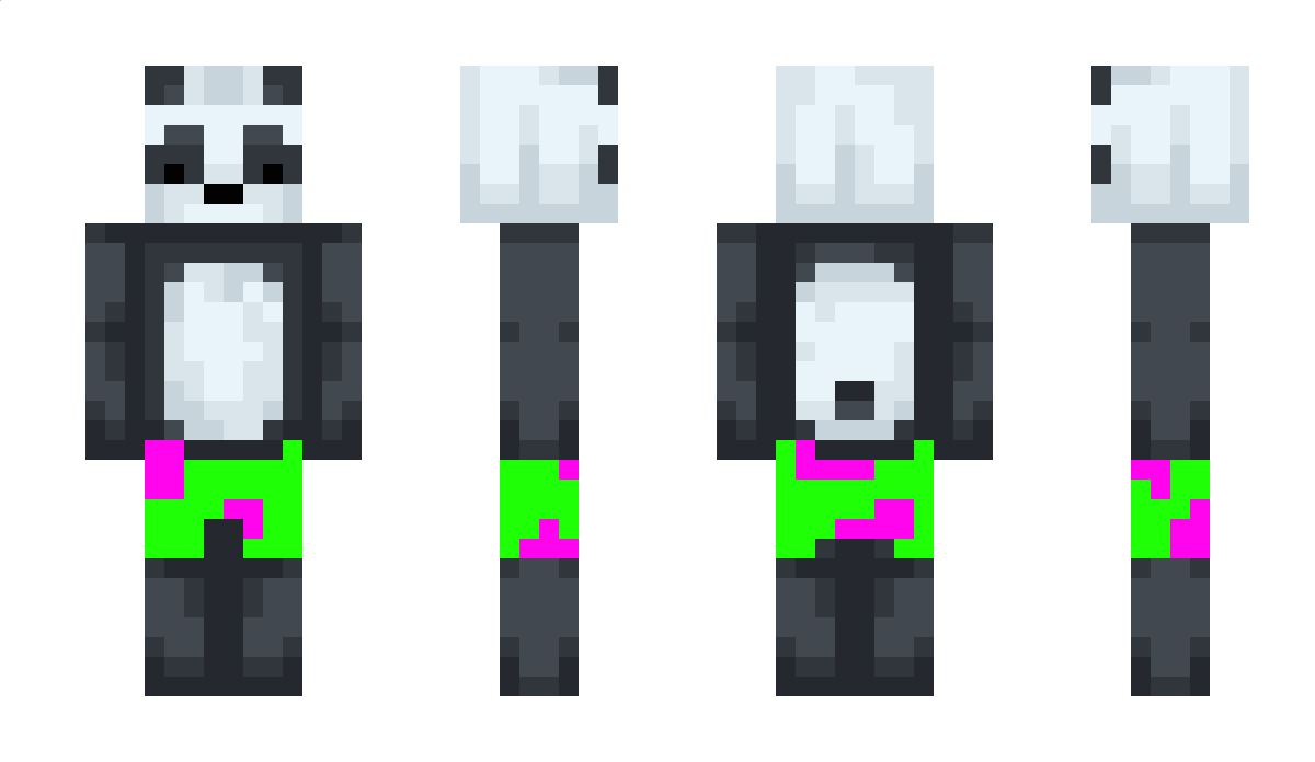 SuperTije Minecraft Skin