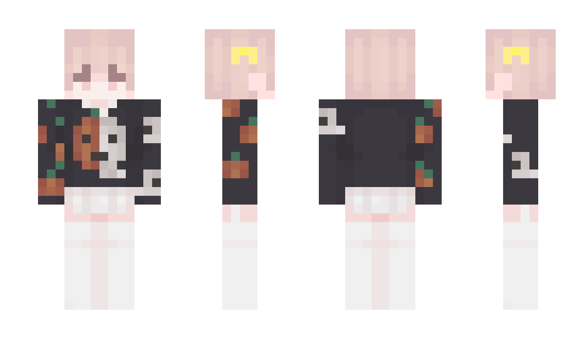 Demonstrations Minecraft Skin