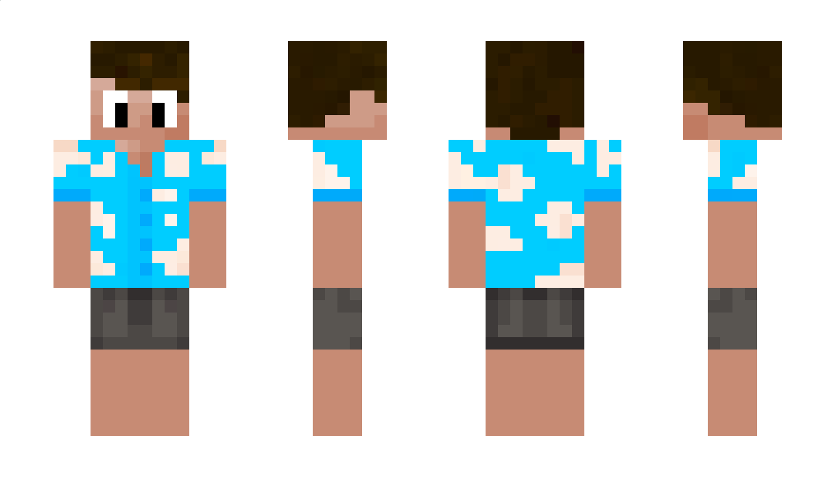 Twooge Minecraft Skin