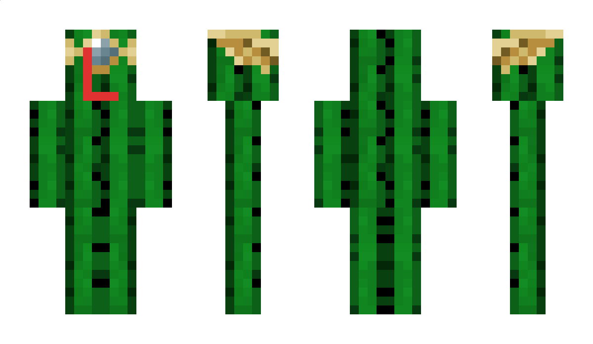 Seismic Minecraft Skin