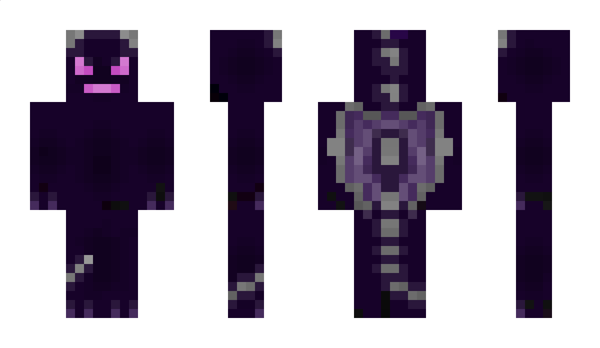 bajbus8 Minecraft Skin