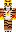 FireTiger77_ Minecraft Skin