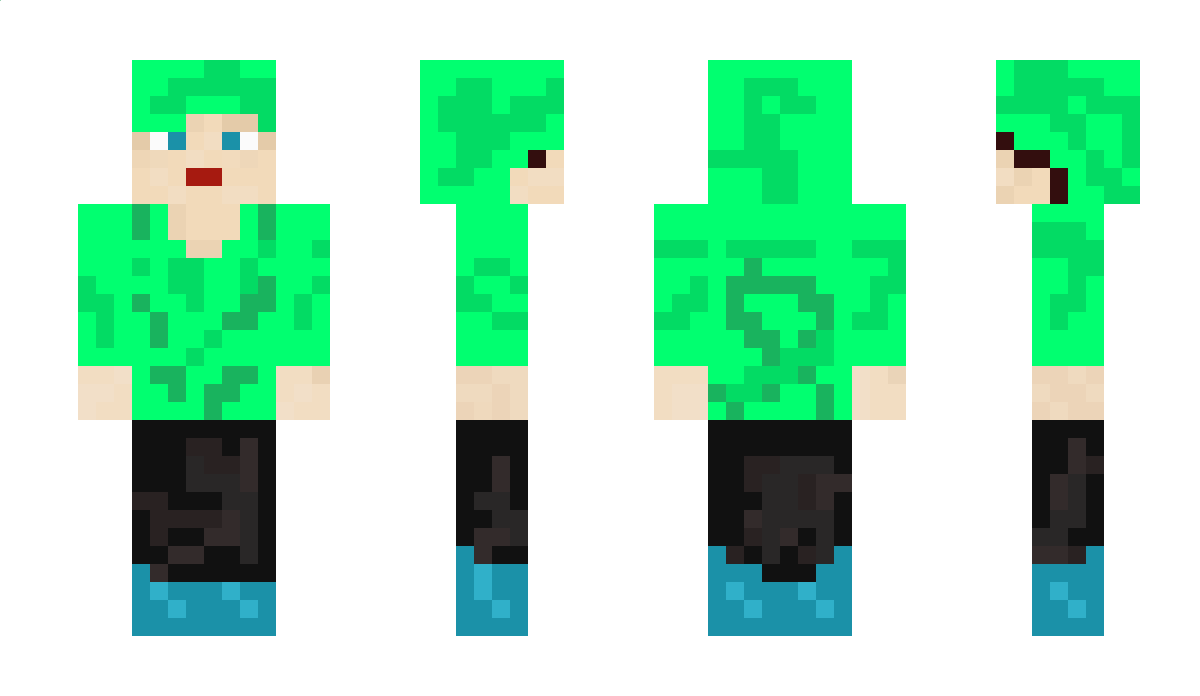 Vidvid16 Minecraft Skin