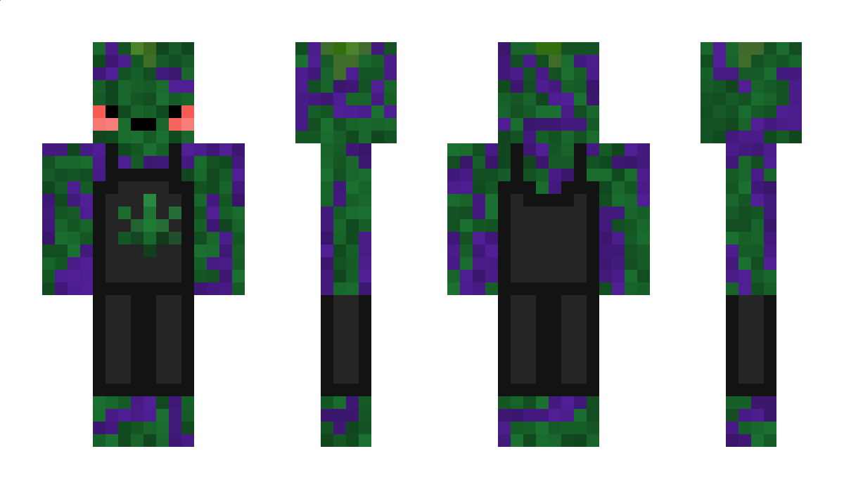 LiteSeven01234 Minecraft Skin