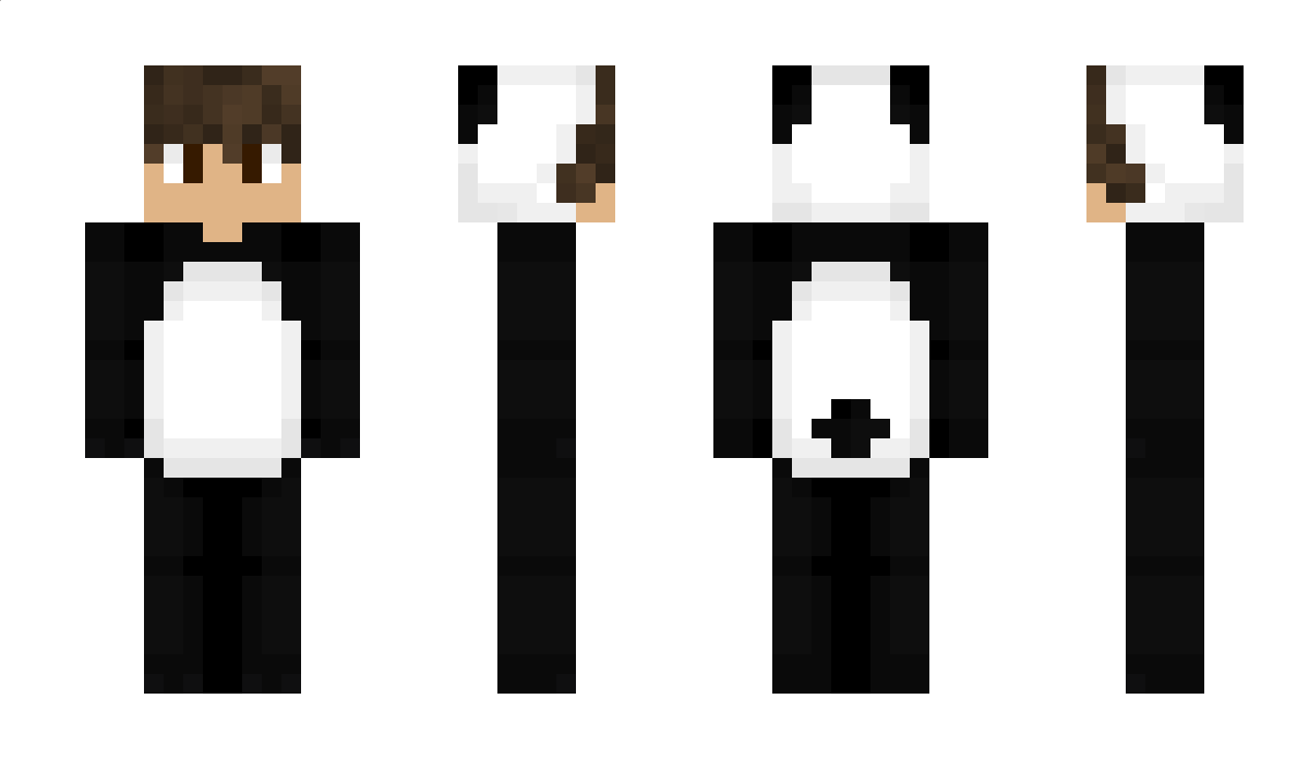 c_hoi Minecraft Skin
