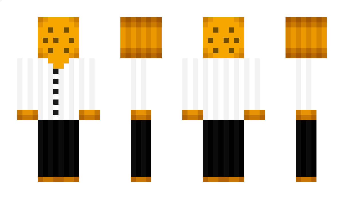 RitzKid76 Minecraft Skin