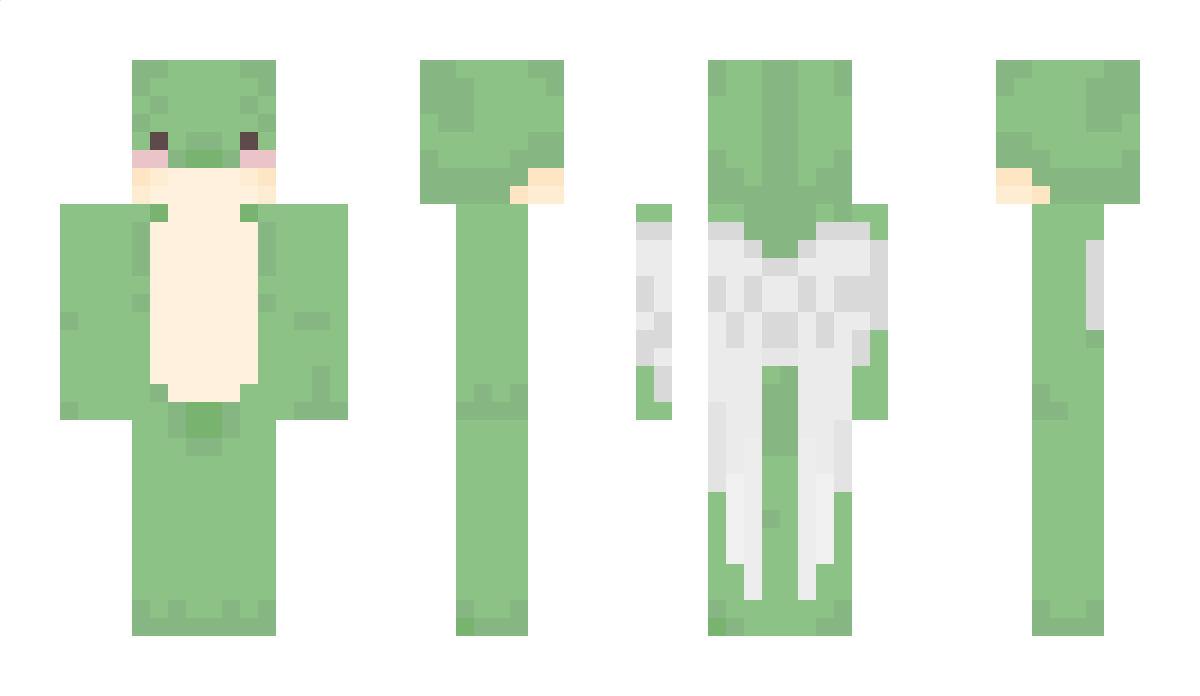 TinyTurtle_ Minecraft Skin