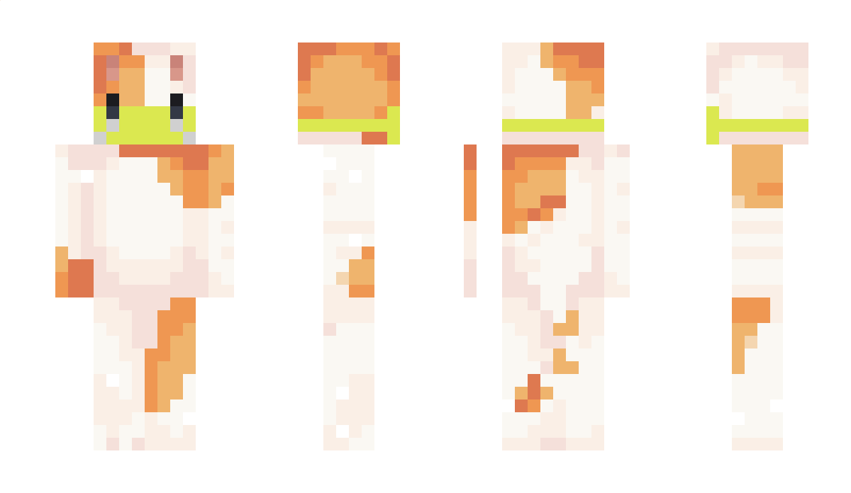 Tojtek_Brazill Minecraft Skin