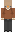 DuckHoodie Minecraft Skin