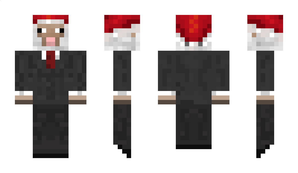 Z_482 Minecraft Skin