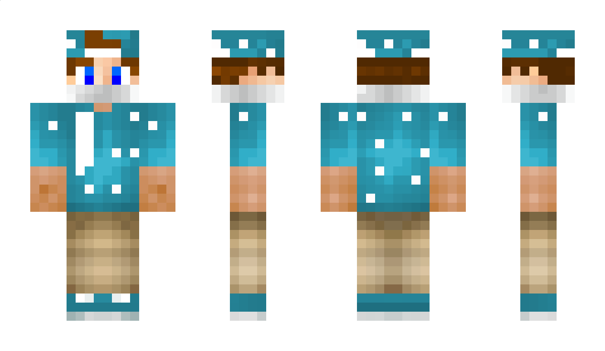 Disk Minecraft Skin