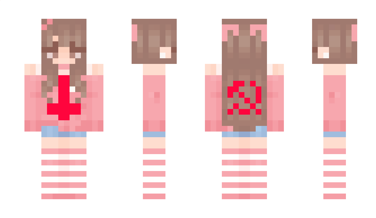 nedvedacdc Minecraft Skin