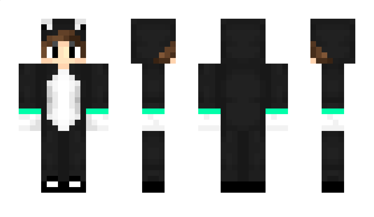 Felixlwe Minecraft Skin