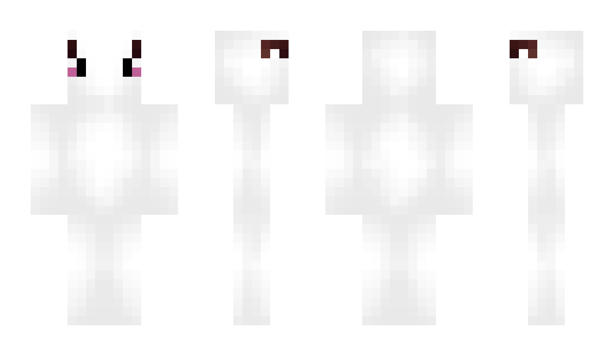 Neve Minecraft Skin