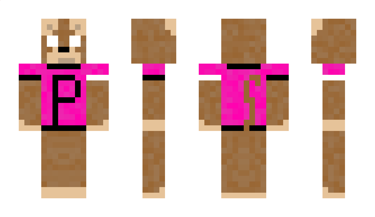 BNeis Minecraft Skin