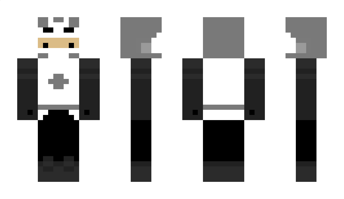 D4mninjas Minecraft Skin