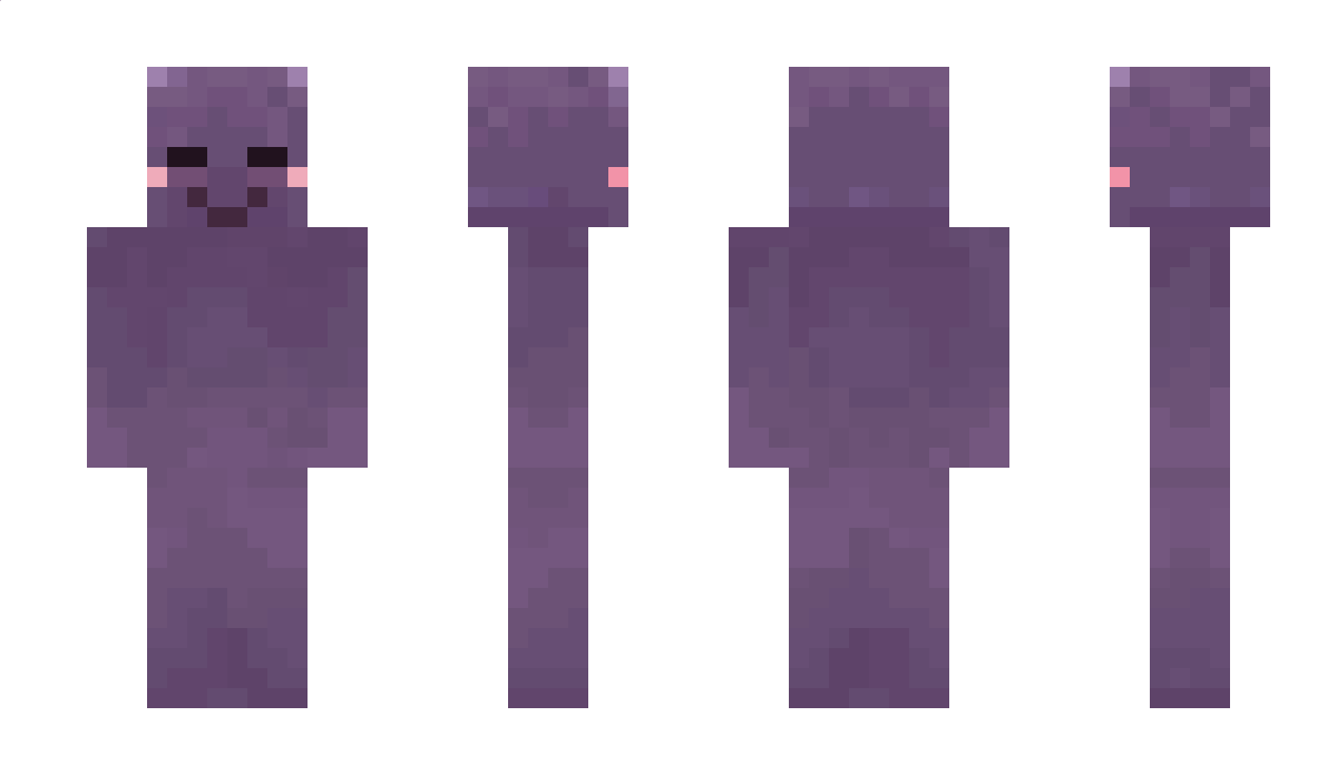 march_14th Minecraft Skin