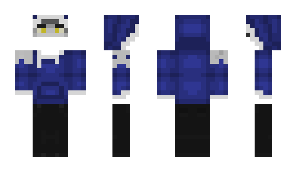 CrazyyHermit Minecraft Skin