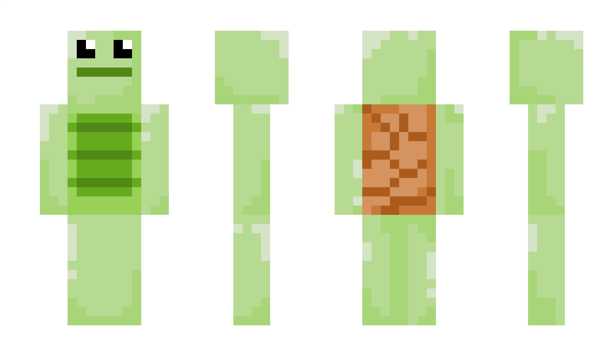 _CTurtle Minecraft Skin