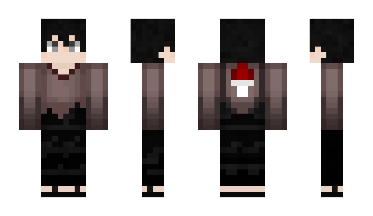 wi4 Minecraft Skin