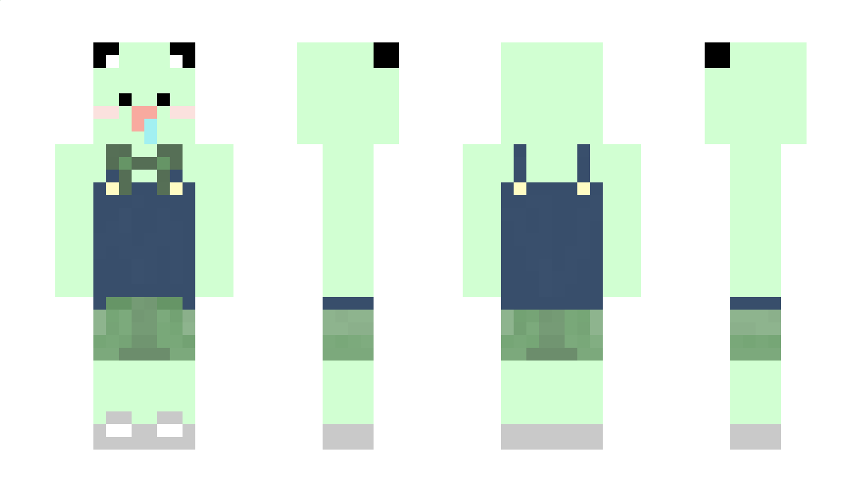 5gyeopsal Minecraft Skin